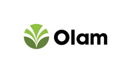 Olam.png